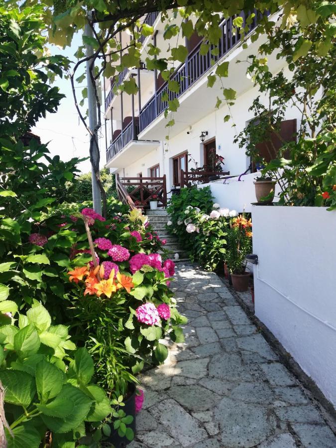 Hotel Erato خوريفتون المظهر الخارجي الصورة